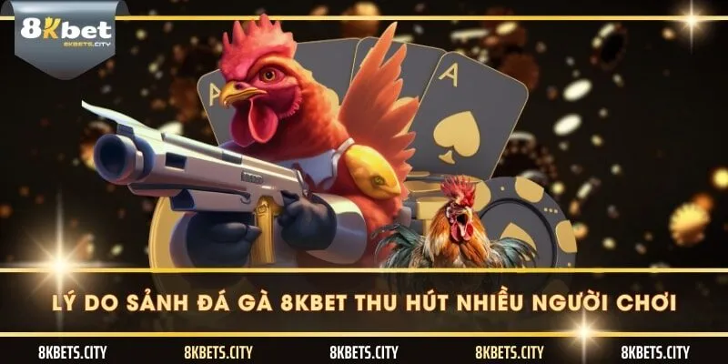 Lý do sảnh đá gà 8KBET thu hút nhiều người chơi